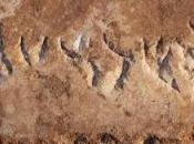 Découverte plus ancien artéfact juif dans péninsule ibérique