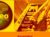 Aquavidéo n°25 Fabio Cembranelli