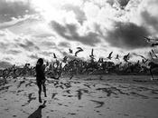 Sélection Flickr Pixfan #102