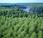 production biocarburants menace écologique