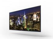 prototype OLED chez Sony