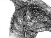 Parasaurolophus "reptile crête cloisons parallèles"