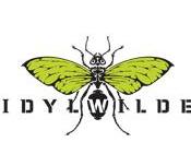 Idylwide flies claque