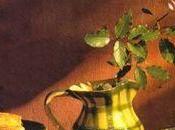 cahier recettes provençales, Michel Biehn