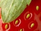 CRISE CARDIAQUE: portions fruits rouges pour tiers risque moins Circulation