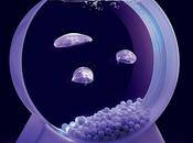 aquarium pour méduse