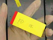 Sony, smartphone 6,44 pouces préparation?