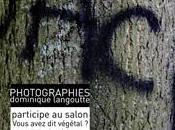 Sculpture photographie peinture 2xdi