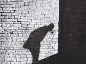 Colette Pourroy, Prix CAFéFOTO 2012