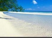 croit encore Réchauffement Climatique Anthropique