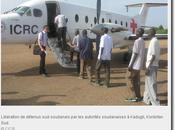 Soudan CICR poursuit efforts Darfour tient prêt apporter aide dans d’autres régions