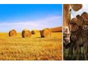 nouveau visage agriculteurs français