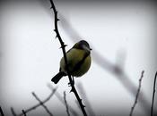 Vive Mademoiselle France