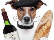 marque France, unique monde pays rêves