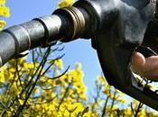 biocarburants prise conscience tardive