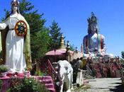 Religion Cour européenne secours gourous