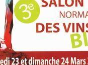 VinSeine, salon vins (Rouen mars 2013)