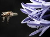 Sélection Pixfan 500px