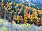 Sonate d'automne dans Bauges Mont Pécloz