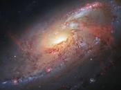 Superbe portrait galaxie spirale Messier