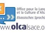 L’OLCA ouvre bureau Mulhouse