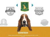 Mesurez l’intelligence votre chien avec Dognition