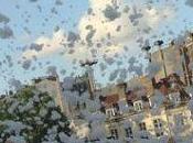 L'Ordre laïc contre l'Église catholique