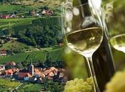 principaux vins d'Alsace