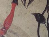 Autour d'une libellule... (haïku Kikaku Bashô)