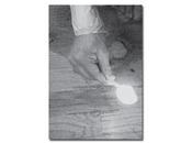 Dash snow love you, stupid monograph book