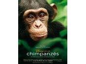 Chimpanzés [Featurette Making-Of]