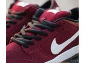 Nike Dunk Burgundy Brown White