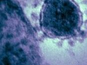 CORONAVIRUS NCoV: nouveaux suspectés Arabie Saoudite Royaume-Uni