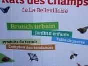 Rats Villes Champs Bellevilloise