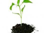 sortie crise sans entreprises entrepreneurs