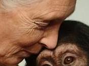 Interview Jane Goodall: l'Humanité inébranlable