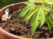 recueillir Christiane Rancé