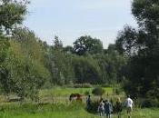 recueillir Christiane Rancé