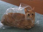 Heureusement, l'Assemblée Nationale travaille pour vous