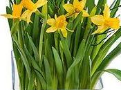 arrangements pour offrir grands mères avec Interflora