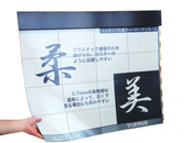 L’écran flexible pouces Plastic Logic