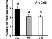 L'OBÉSITÉ abdominale directement liée cancer côlon Cancer Prevention Research