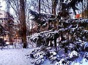 instantanés d'un matin frisquet