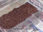 Reveiller doucement begonia bulbeux