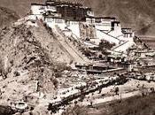 L'exploration d'un pays selon Hérisson tortue (Alexandra DAVID-NEEL)