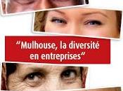 Mulhouse diversité entreprises s'affiche mars 2013