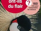 oiseaux ont-ils flair