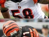 Maualuga retour avec Bengals mise jour Andre Smith