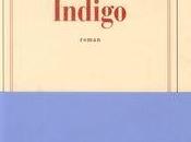 Indigo, Catherine Cusset