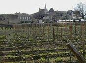 Visite Château Guadet Grand Classé Saint Emilion Partie dégustation